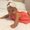 Photo of Nize P.
