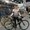 Photo of Sacha M.