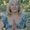 Photo of Candyce C.