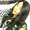 Photo of Jaynell M.