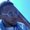 Photo of Quay T.