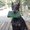 Photo of Paulette B.