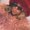 Photo of Ashley O.