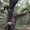 Photo of Solansh V.