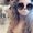 Photo of Aaryn F.