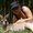 Photo of Qype User (consta…)
