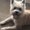 Photo of Karen B.