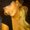 Photo of Wendi C.