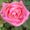 Photo of Maria123 F.