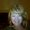 Photo of Kimberly R.