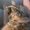 Photo of Riane L.