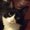 Photo of Jessica N.