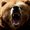 Photo of Grizzlymama A.
