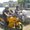 Photo of Raymond F.