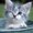 Photo of Ember S.