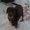 Photo of Kinley B.