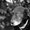 Photo of Walter K.