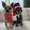 Photo of Cristy A.
