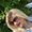 Photo of Candice M.