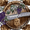 Photo of Qype User (ace666…)