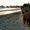 Photo of Stacy Y.