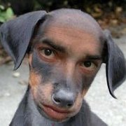 google avatar