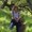 Photo of Kathy L.