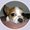 Photo of Johanna M.