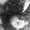 Photo of Jeanice H.