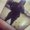 Photo of Shawna C.