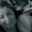 Photo of Renata D.