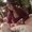 Photo of Ashley G.