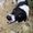 Photo of Rhea N.