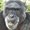 Photo of Qype User (mcseto…)