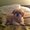 Photo of Toby T.
