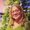 Photo of Marcy R.