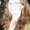 Photo of Sheila M.