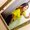 Photo of Raiza R.