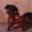 Photo of Qype User (cui…)