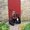Photo of Darrah S.