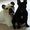 Photo of Kristin O.