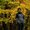 Photo of Prashant T.