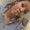 Photo of Amber C.