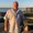 Photo of Dave A.