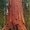 Photo of Qype User (Mlarge…)