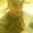 Photo of Brandon S.