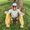 Photo of Clayton G.