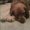 Photo of Kiddo B.
