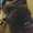 Photo of AvatheKitty C.