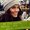 Photo of Derya Y.